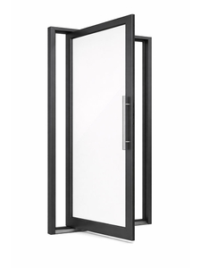 Pivot Door